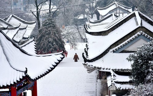 东方雪韵