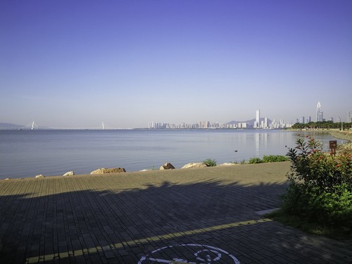 深圳湾红树林公园 ~ 掠影