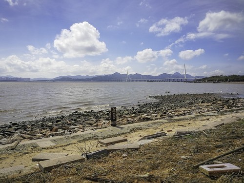 深圳湾红树林公园 ~ 掠影