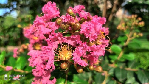 由内而外的平衡，魅族16Xs深度体验