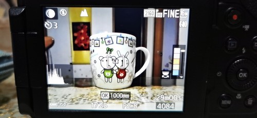 P1000直方图显示选项打开在P,M,S模式下无法显示问题。