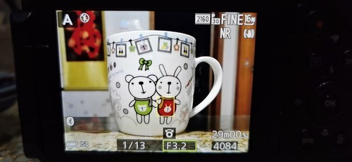 P1000直方图显示选项打开在P,M,S模式下无法显示问题。