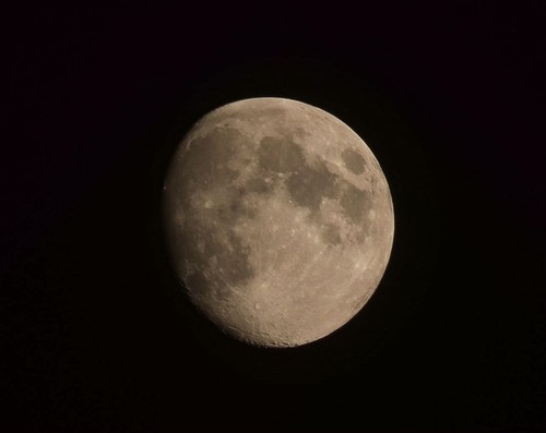 小学生第一次发图片。多多指教