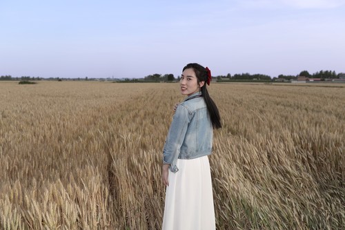 麦田倩影