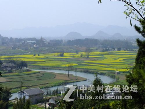望春风，繁花似锦溢满胸！
