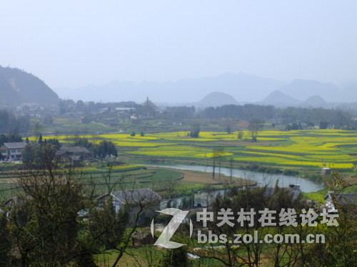 望春风，繁花似锦溢满胸！