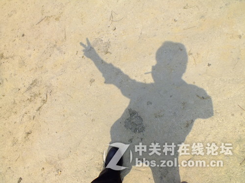 望春风，繁花似锦溢满胸！