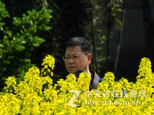 望春风，繁花似锦溢满胸！