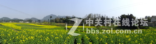 望春风，繁花似锦溢满胸！