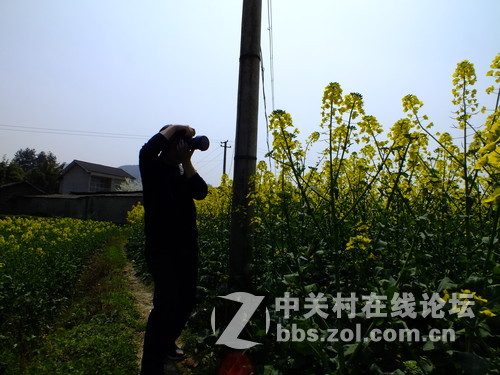 望春风，繁花似锦溢满胸！