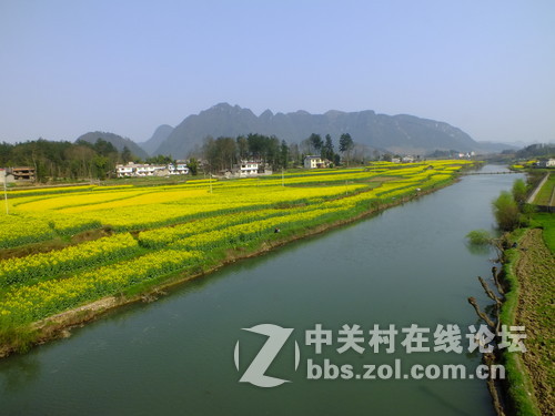 望春风，繁花似锦溢满胸！