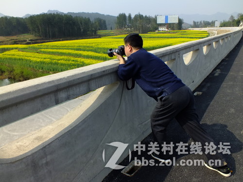 望春风，繁花似锦溢满胸！