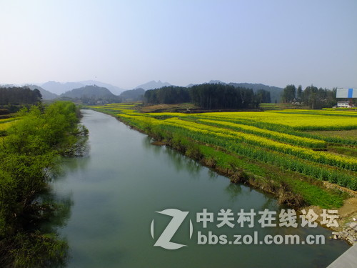 望春风，繁花似锦溢满胸！