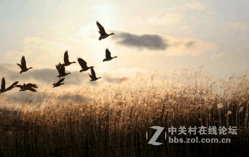 暑期旅行季，不能错过的必备单品370AC