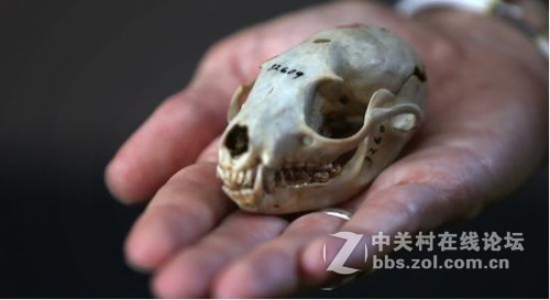 3D打印模仿动物制作仿生器材