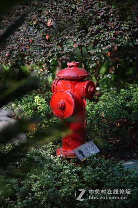 5D+蔡司135/2.8手动德头试毒