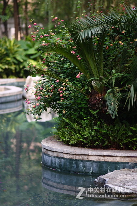 5D+蔡司135/2.8手动德头试毒