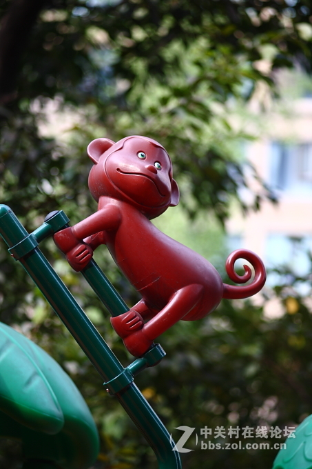 5D+蔡司135/2.8手动德头试毒