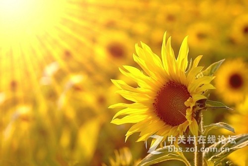 【获奖名单公布】4月手机摄影月赛——【用色彩为4月命名】