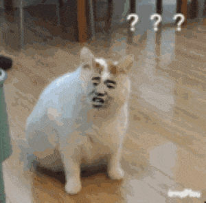 加来众科AK-8数字直播声卡为何能在直播界笑傲江湖？