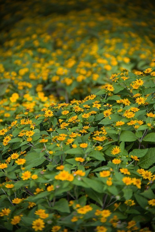 全幅机配 18-200 腾龙A14