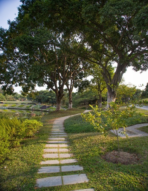 全幅机配 18-200 腾龙A14