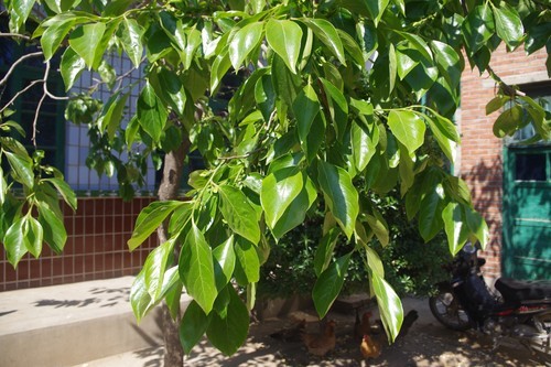 好久没来了，回来看看