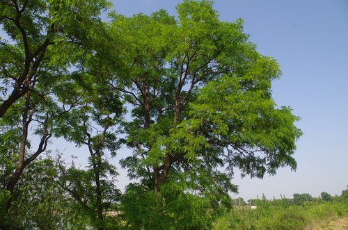 好久没来了，回来看看