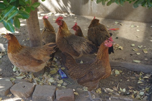 好久没来了，回来看看