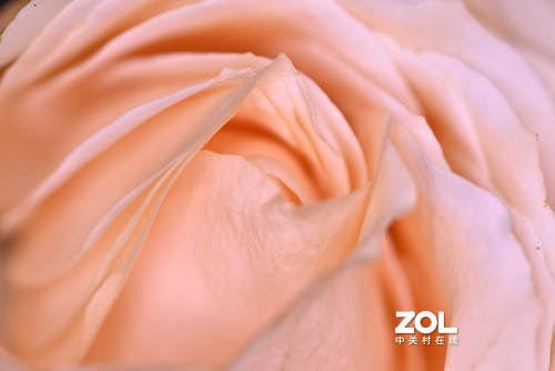 百微试拍——微观世界