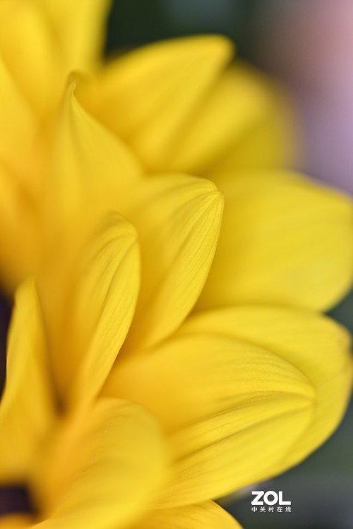 百微试拍——微观世界