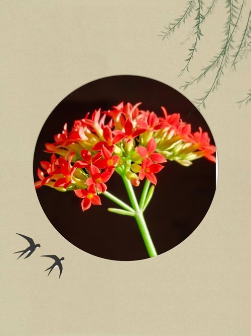 《每日欣赏》！！！