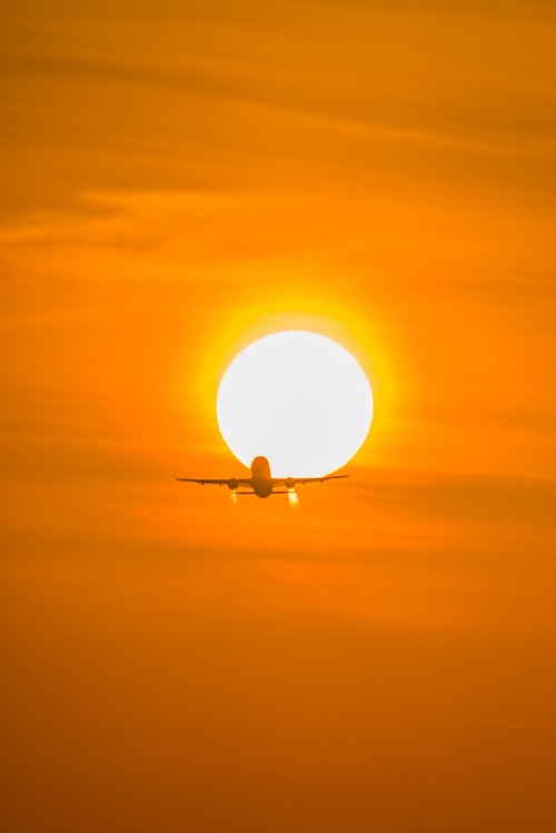 飞 机 冲 日