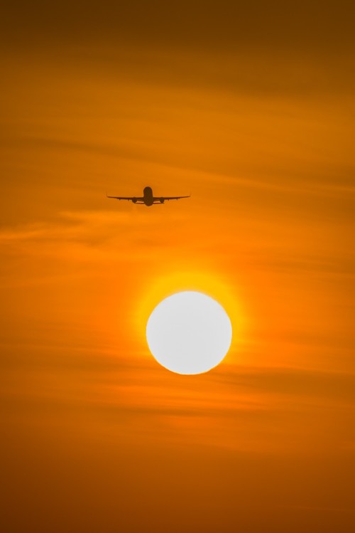 飞 机 冲 日