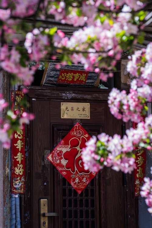 漫 街 的 海 棠 花 （ 三 ）