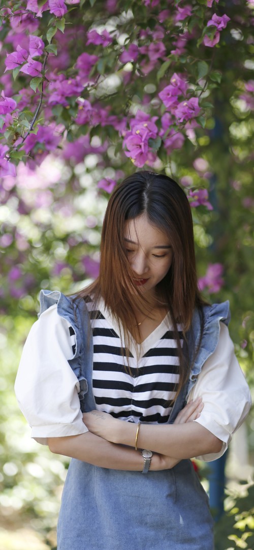 蔷薇花开