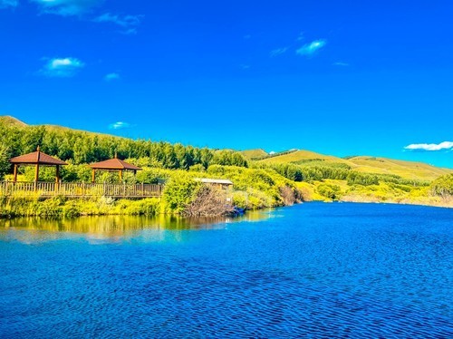 盛夏里的七彩森林别有一番风味~~