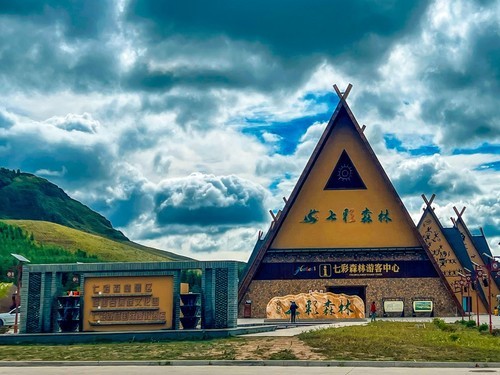 盛夏里的七彩森林别有一番风味~~