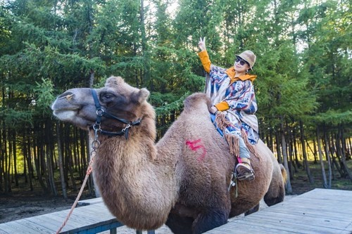 错过等一年！五六月七彩森林骑骆驼