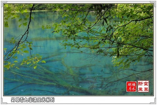 几片岁月留下风光