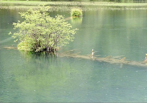 几片岁月留下风光