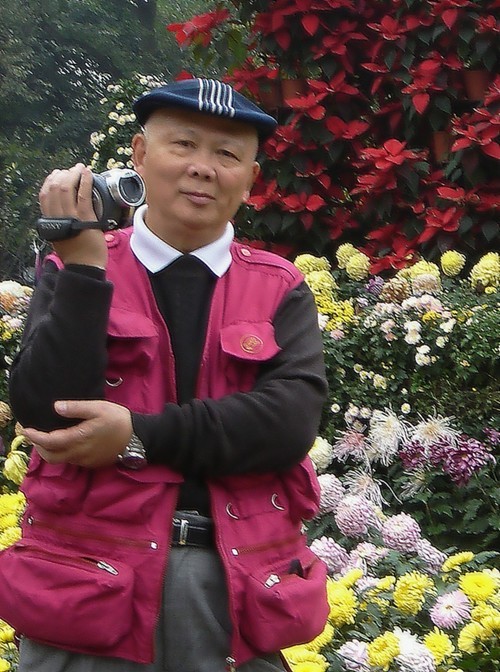 几片岁月留下风光