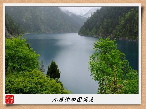 几片岁月留下风光