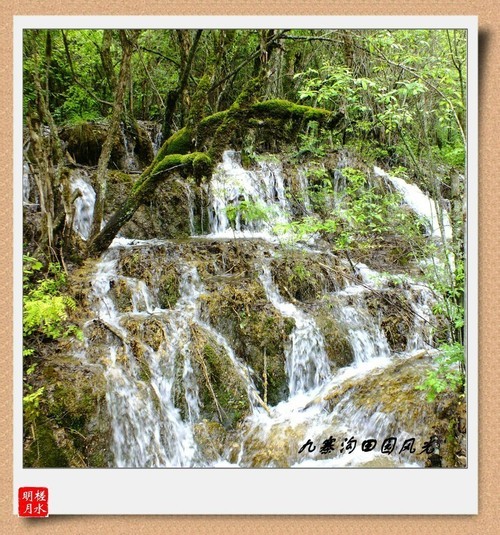 几片岁月留下风光