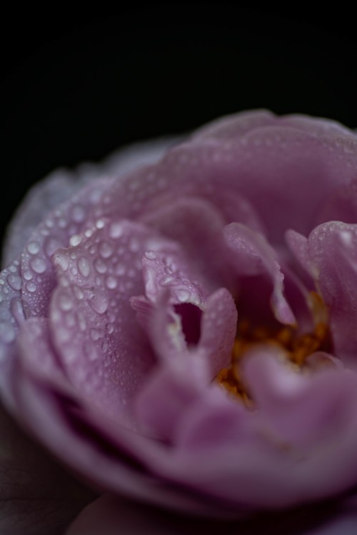 我是来学习的，希望大家多提意见