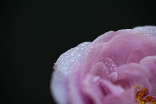 我是来学习的，希望大家多提意见