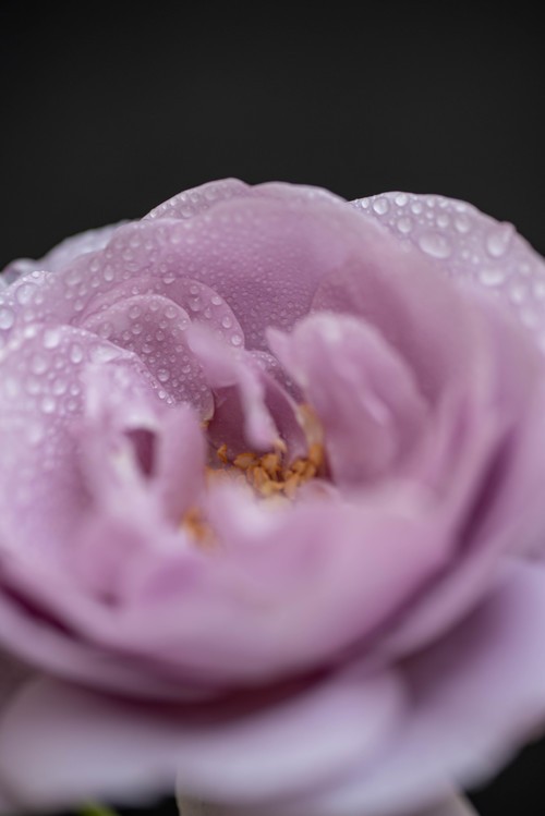 我是来学习的，希望大家多提意见