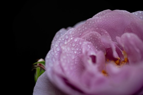 我是来学习的，希望大家多提意见