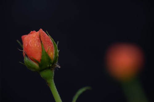 我是来学习的，希望大家多提意见