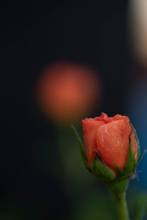 我是来学习的，希望大家多提意见